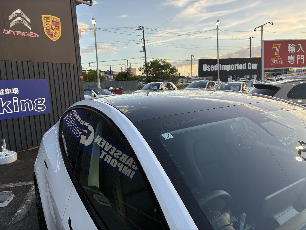 その他輸入車 テスラ モデルＹ ＡＷＤ　パフォーマンス
