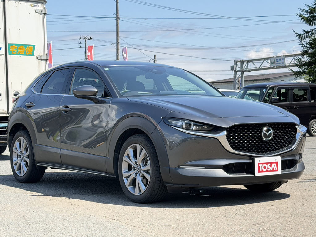 マツダ ＣＸ－３０ 4WD 20S-Lﾊﾟｯｹｰｼﾞ
