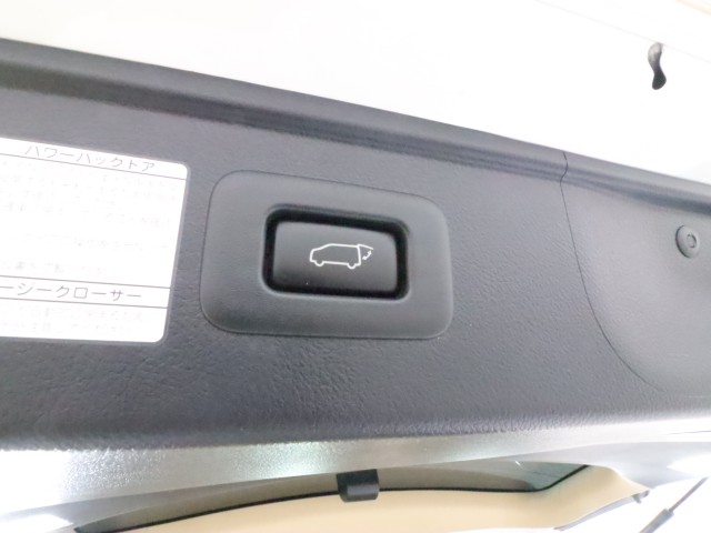 トヨタ ｱﾙﾌｧｰﾄﾞ ﾊｲﾌﾞﾘｯﾄﾞ Ｇ　Ｆﾊﾟｯｹｰｼﾞ