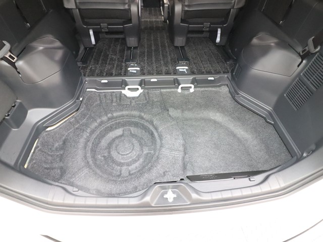 トヨタ ノアＨＶ S-G