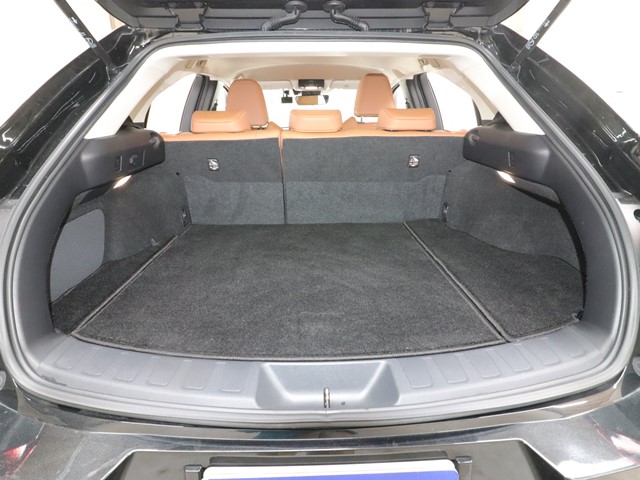 レクサス レクサス ＵＸ バージョンＣ