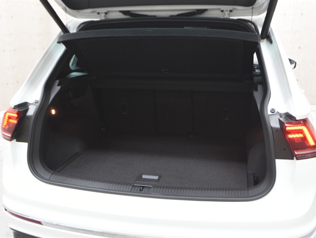 フォルクスワーゲン ＶＷティグアン ＴＳＩ　Ｒライン　ディナウディオ