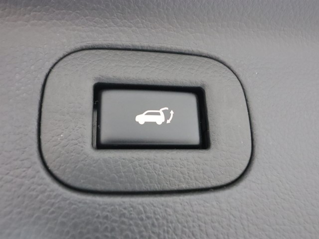 ニッサン エルグランド ライダーブラックライン