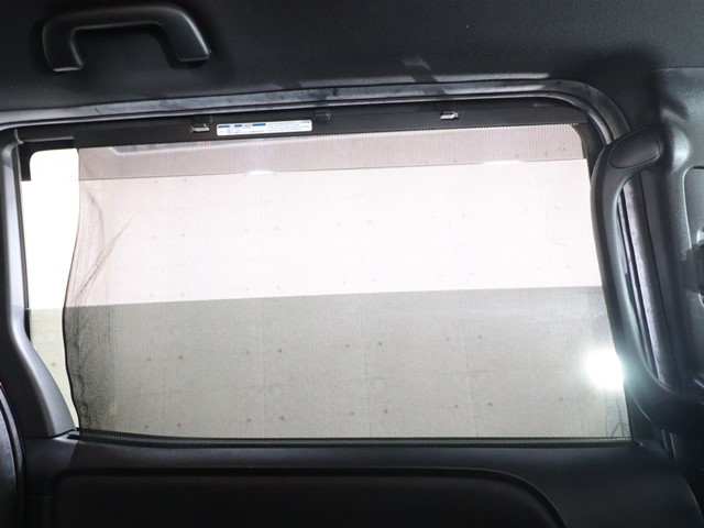 トヨタ ノアＨＶ Si WxBⅡ