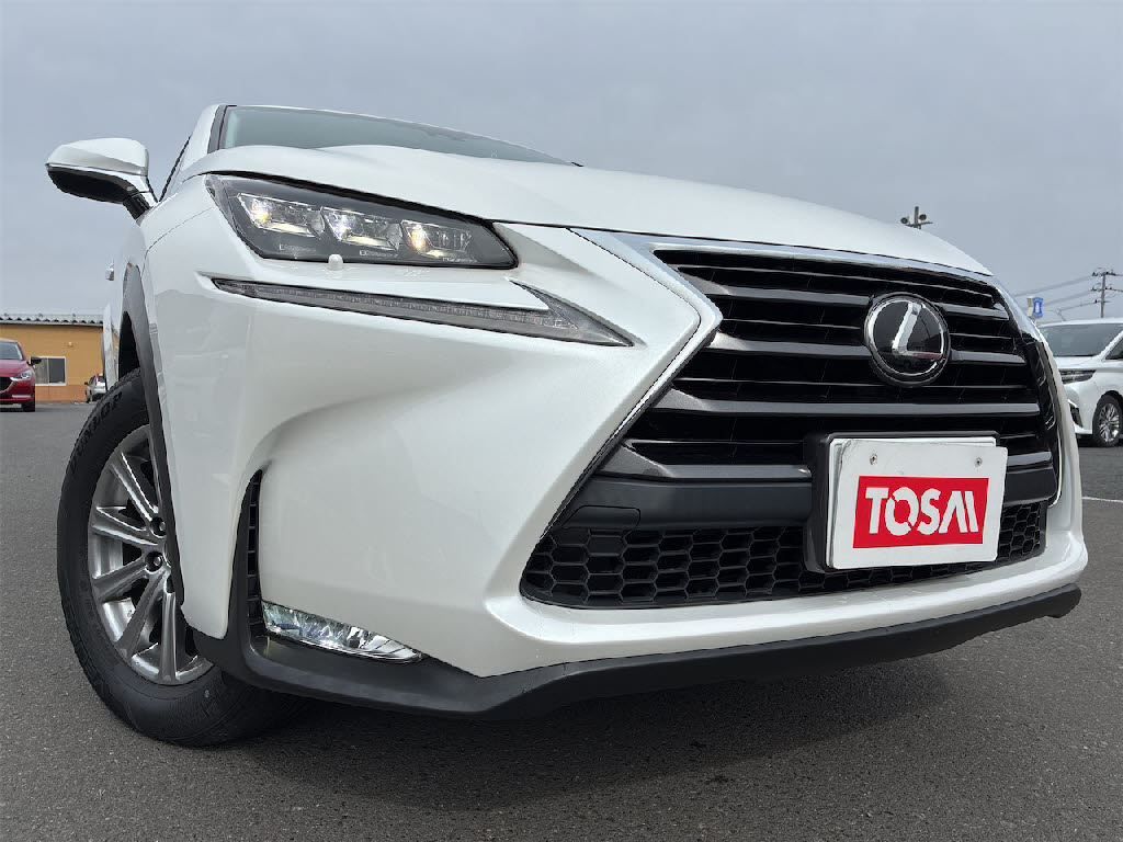 レクサス レクサス ＮＸ NX200T Iﾊﾟｯｹｰｼﾞ　4WD