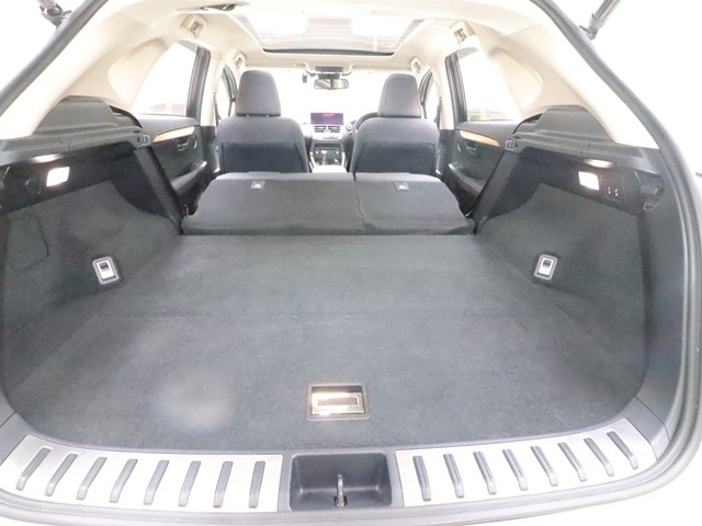 レクサス レクサス ＮＸ ３００ ﾊﾞｰｼﾞｮﾝL