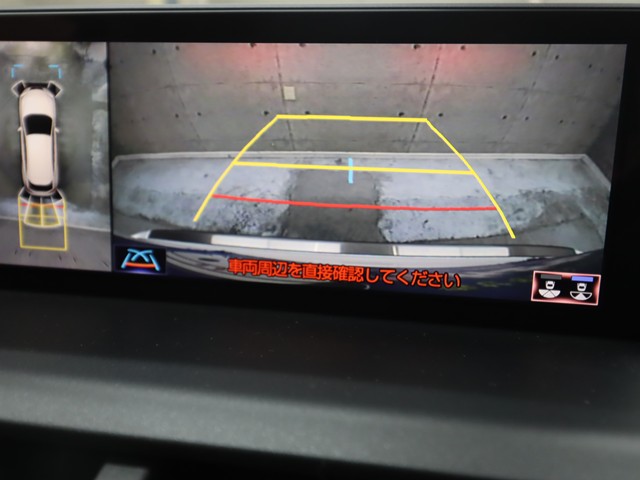 レクサス レクサス ＮＸ ３００ ﾊﾞｰｼﾞｮﾝL