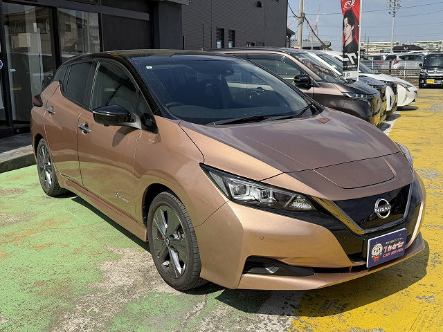 ニッサン リーフ アーバンクロム