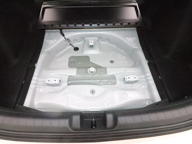 ホンダ シビック タイプＲレーシングブラックパッケージ