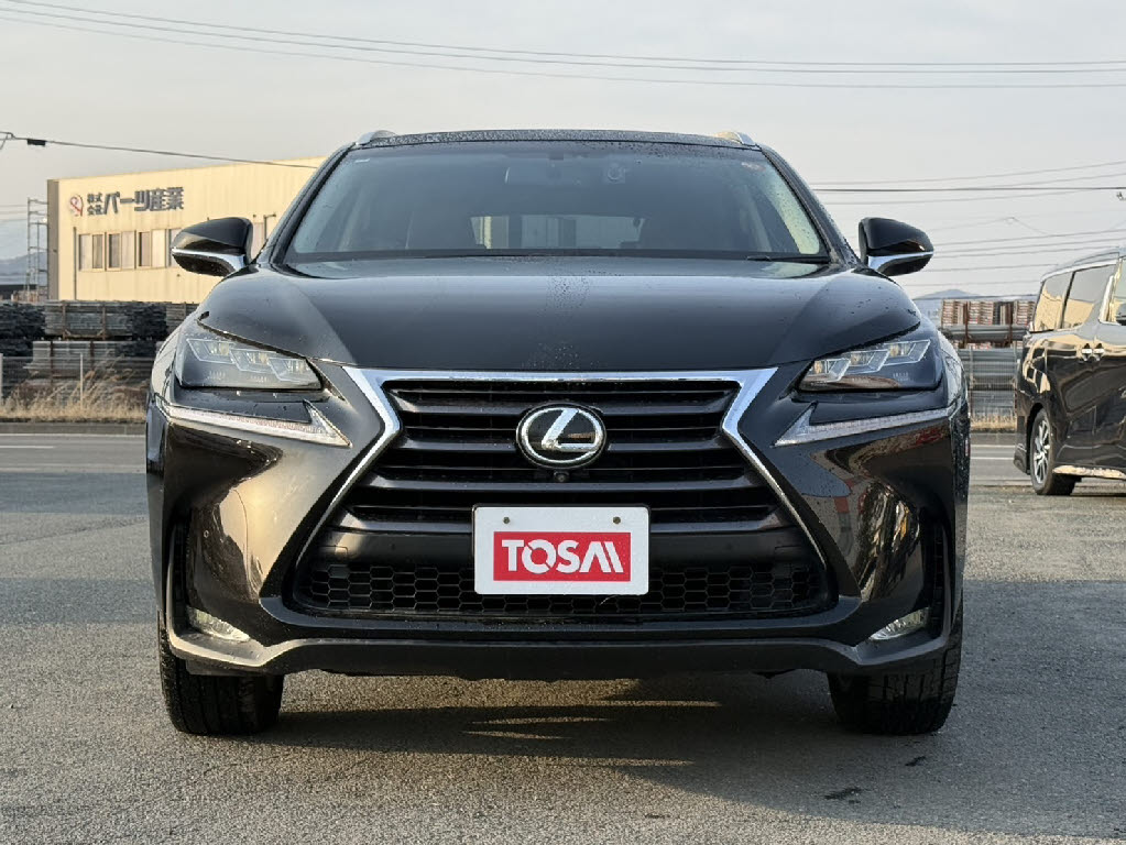 レクサス レクサス ＮＸ NX200t ﾊﾞｰｼﾞｮﾝL