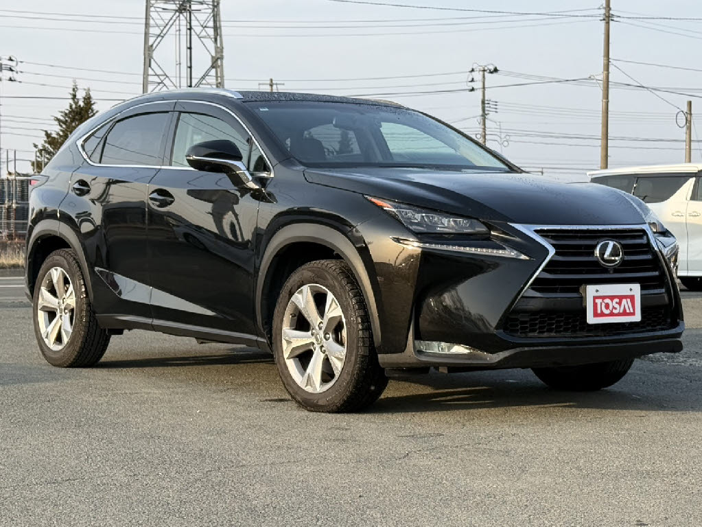 レクサス レクサス ＮＸ NX200t ﾊﾞｰｼﾞｮﾝL