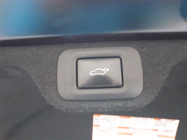 トヨタ ｸﾗｳﾝ ｸﾛｽｵｰﾊﾞｰ Ｇアドバンスドレザーパッケージ