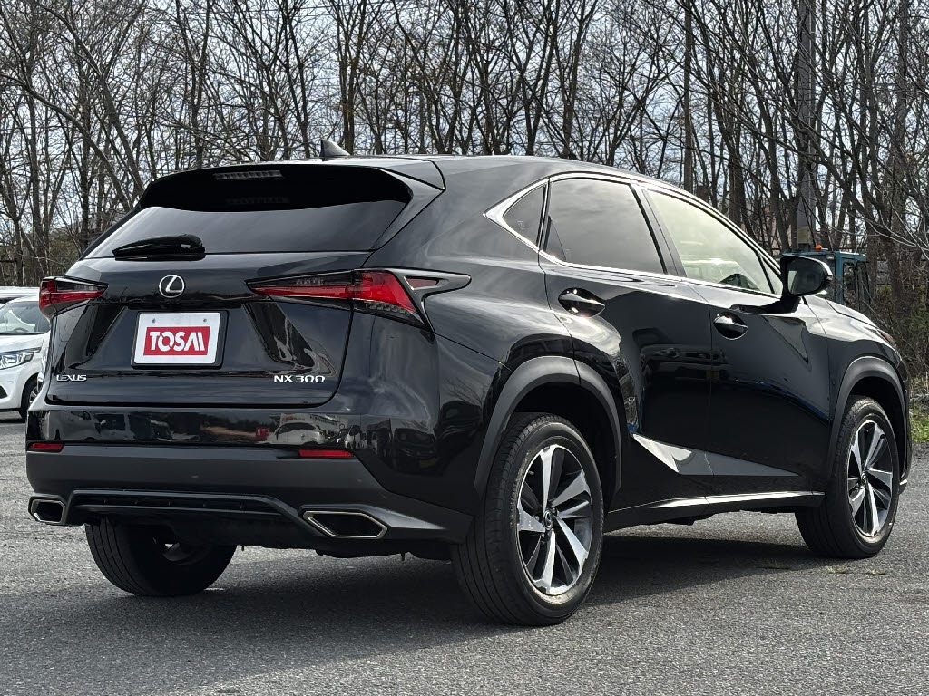 レクサス レクサス ＮＸ NX300ﾊﾞ-ｼﾞｮﾝL 4WD