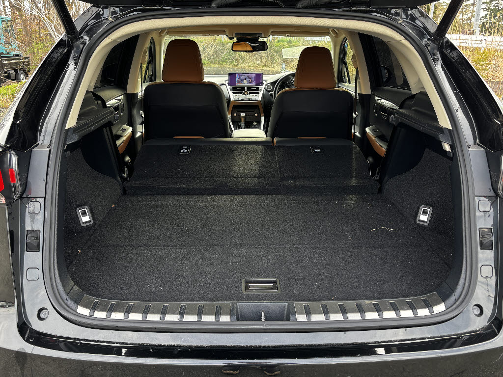 レクサス レクサス ＮＸ NX300ﾊﾞ-ｼﾞｮﾝL 4WD