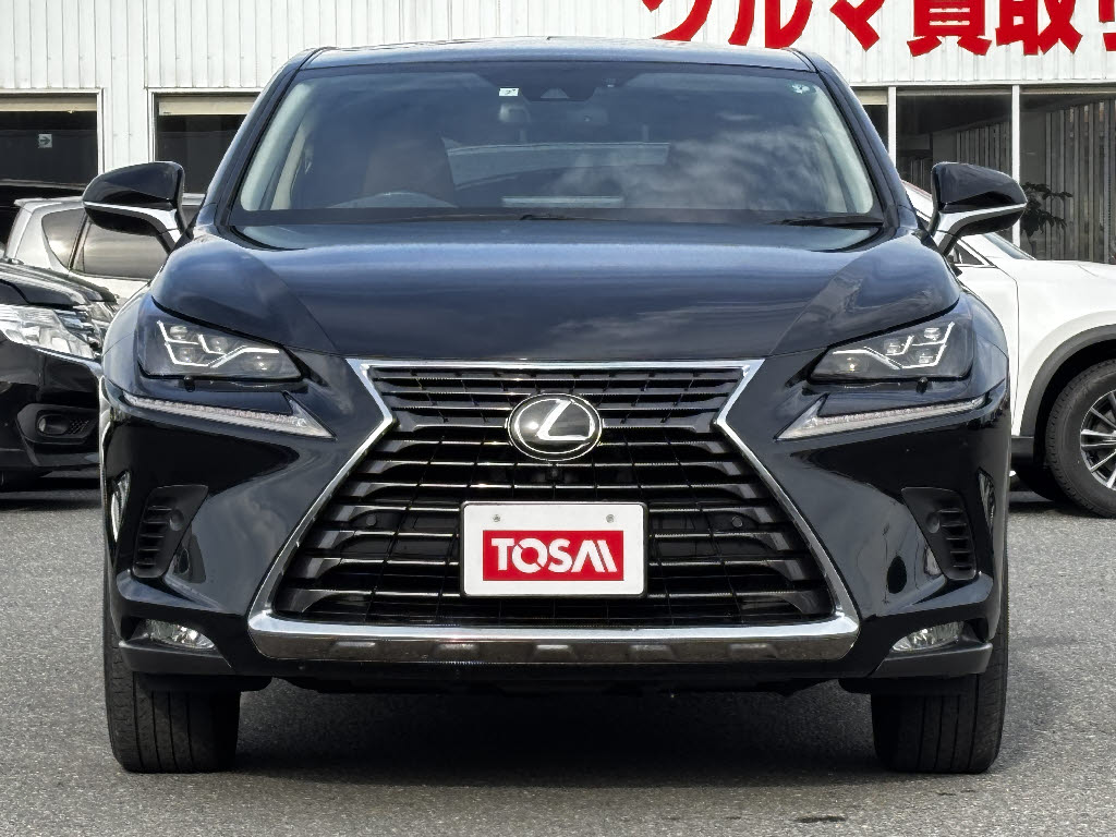 レクサス レクサス ＮＸ NX300ﾊﾞ-ｼﾞｮﾝL 4WD