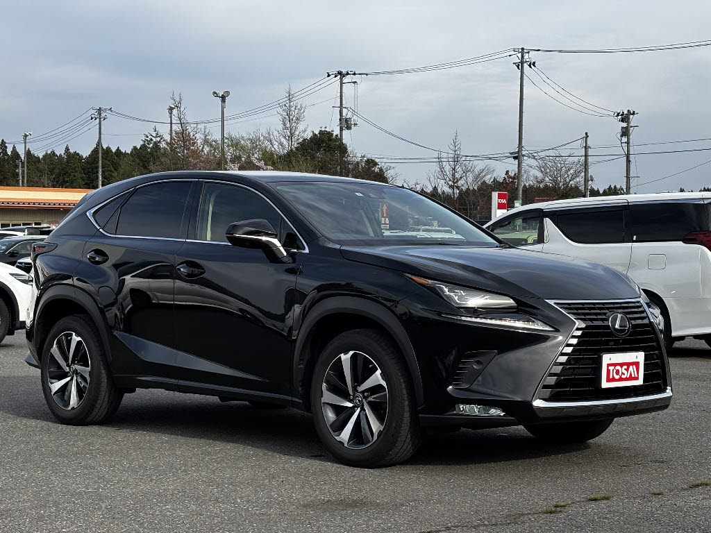 レクサス レクサス ＮＸ NX300ﾊﾞ-ｼﾞｮﾝL 4WD