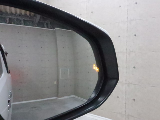 トヨタ アルファード Sﾀｲﾌﾟｺﾞｰﾙﾄﾞ2