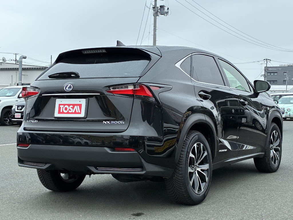 レクサス レクサス ＮＸ NX300h-Fｽﾎﾟｰﾂ