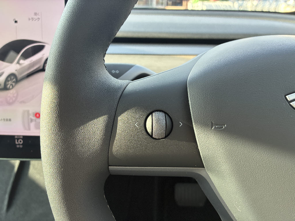 その他輸入車 テスラ モデルＹ RWD