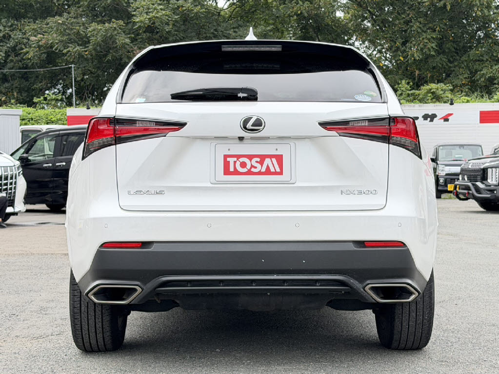 レクサス レクサス ＮＸ NX300ﾌﾞﾗｯｸｼｰｸｴﾝｽ