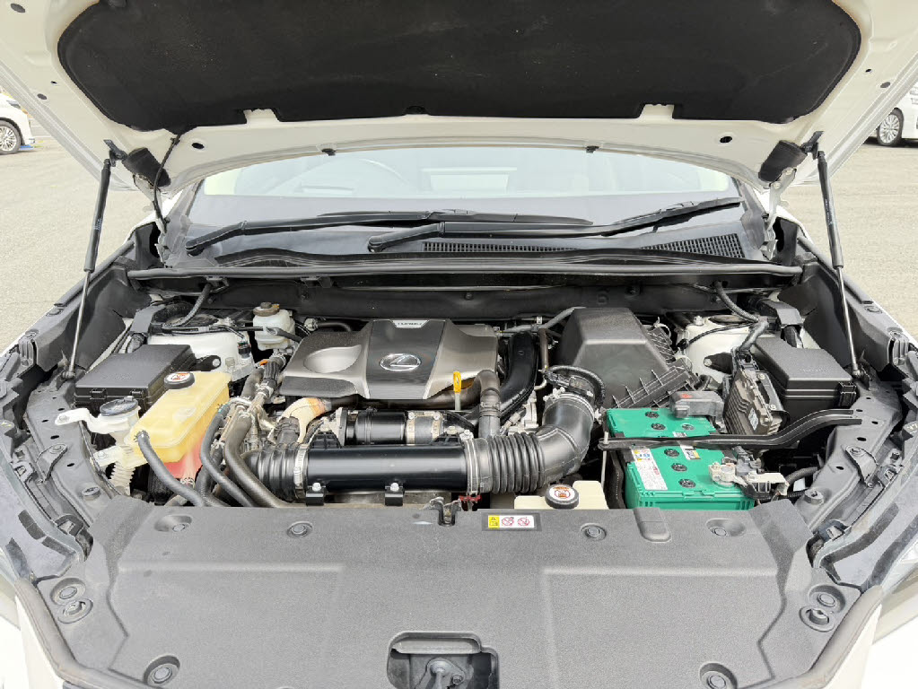 レクサス レクサス ＮＸ NX300ﾌﾞﾗｯｸｼｰｸｴﾝｽ