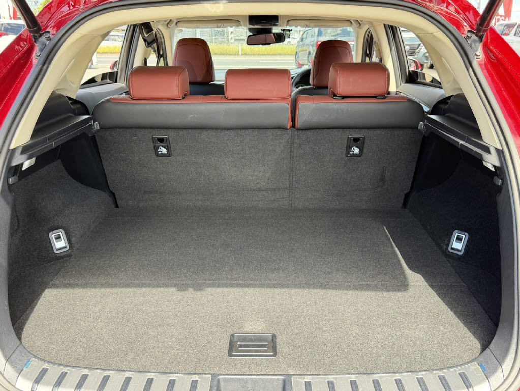 レクサス レクサス ＮＸ NX300hﾊﾞｰｼﾞｮﾝL