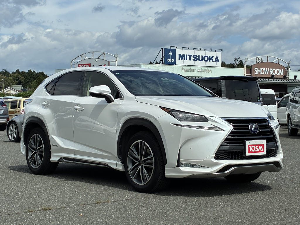 レクサス レクサス ＮＸ NX300h Iﾊﾟｯｹｰｼﾞ 4WD