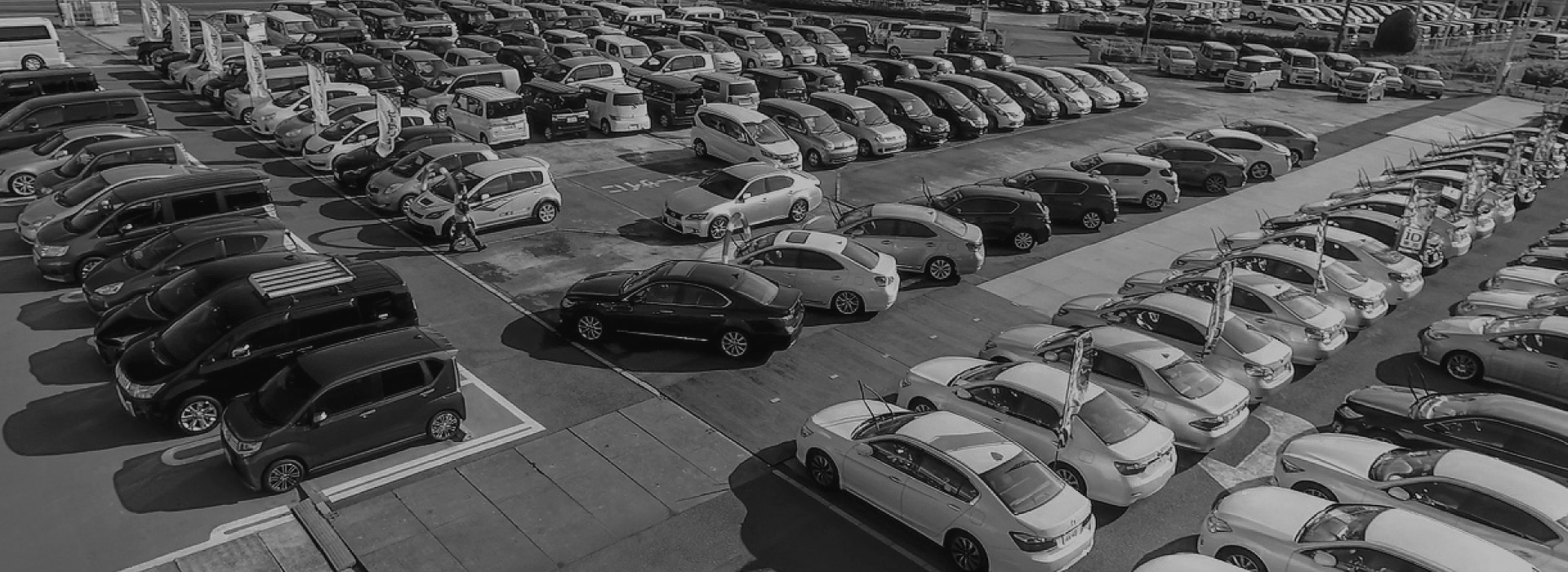 来店予約をする